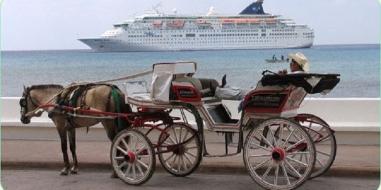 Prohíben las calesas jaladas por caballos en Cozumel
