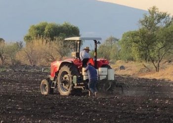 El campo mexicano, en riesgo de convertirse en un sector de damnificados