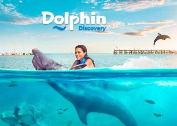 Confirma Dolphin Discovery sus fechas de su reinicio de operaciones