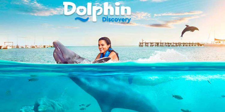 Confirma Dolphin Discovery sus fechas de su reinicio de operaciones