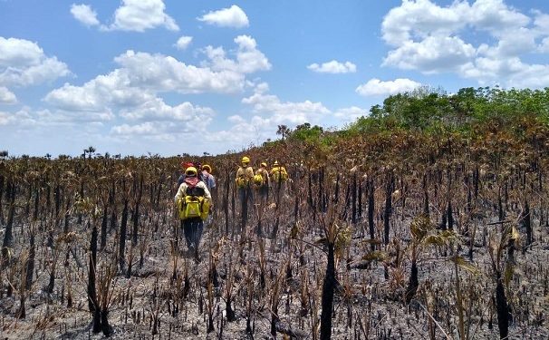 Activos, 12 incendios forestales de magnitud en Quintana Roo