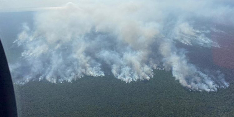 La Marina-Armada de México apoya en el control de incendios forestales