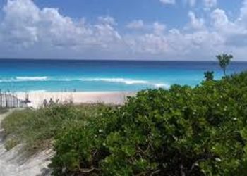 Avanza la construcción de una política de cambio climático