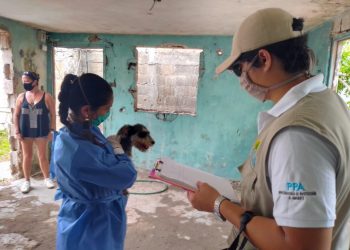 Se implementan acciones conforme a la “Ley de Bienestar Animal”