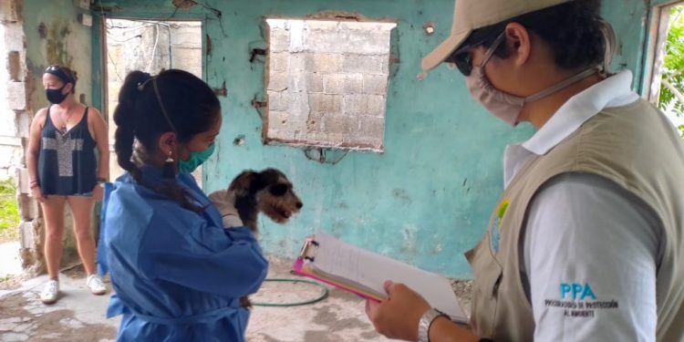 Se implementan acciones conforme a la “Ley de Bienestar Animal”