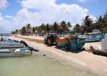 Mantienen las playas de Puerto Morelos libres de sargazo