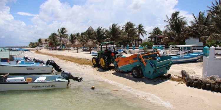 Mantienen las playas de Puerto Morelos libres de sargazo