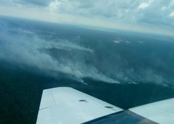 El incendio forestal “Zona de Pozos” en Cancún quedó extinto