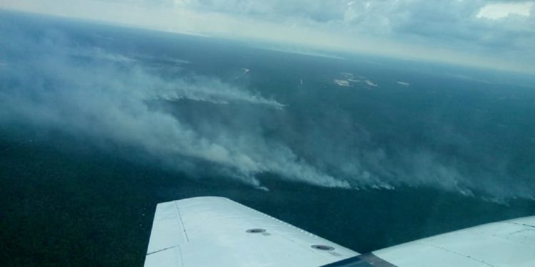 El incendio forestal “Zona de Pozos” en Cancún quedó extinto