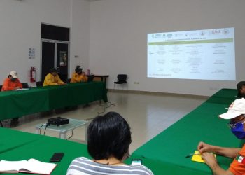 333 elementos combatieron incendios forestales activos en 7970 hectáreas