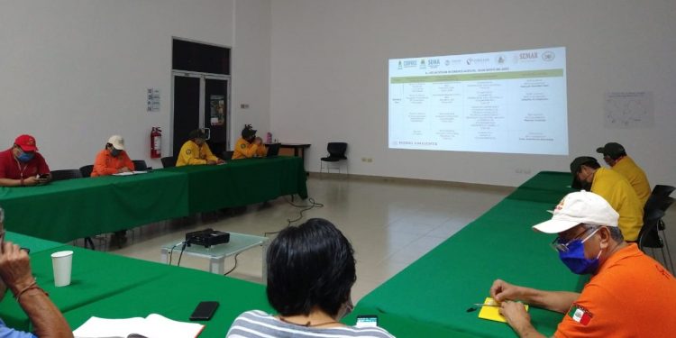 333 elementos combatieron incendios forestales activos en 7970 hectáreas