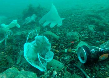 Cochinero’ de cubrebocas y guantes en aguas del Mediterráneo