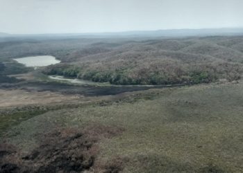 Liquidado el fuego de 11,264 hectáreas en 49 incendios forestales