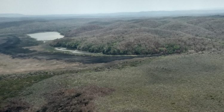 Liquidado el fuego de 11,264 hectáreas en 49 incendios forestales