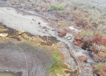 Se combaten 12 incidentes en el Día Internacional del Combatiente Forestal