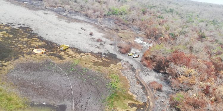 Se combaten 12 incidentes en el Día Internacional del Combatiente Forestal