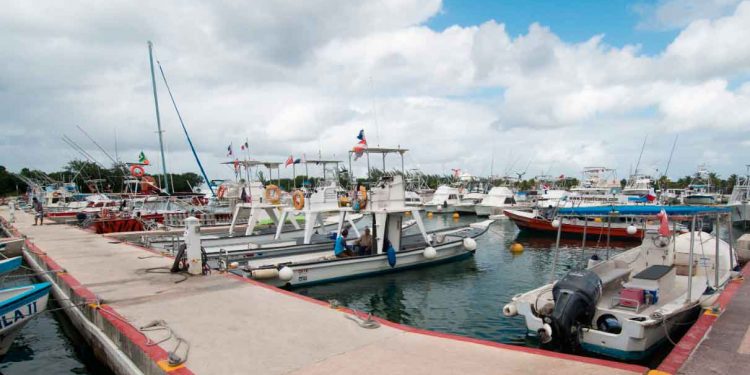 Anuncia Apiqroo programa de incentivos y beneficio para los clientes y cesionarios