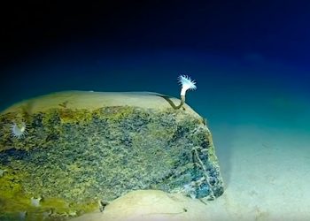 Histórico: Un submarino autónomo ruso llegó al punto más profundo de la Tierra
