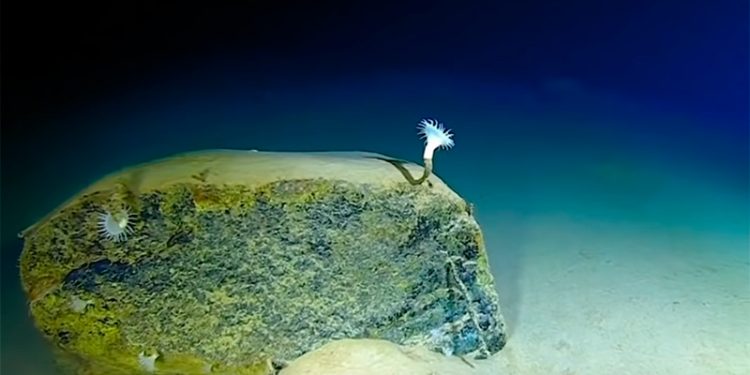 Histórico: Un submarino autónomo ruso llegó al punto más profundo de la Tierra