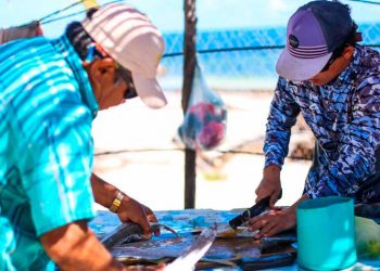 Ayuntamiento de Isla Mujeres apoya la economía de los pescadores