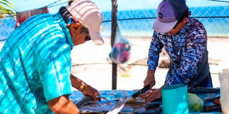 Ayuntamiento de Isla Mujeres apoya la economía de los pescadores