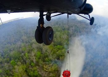 Se registran 56 incendios forestales en ocho municipios de Quintana Roo