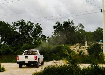 En marcha programas de Fumigación y Eliminación de Criaderos de moscos