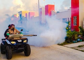 Intensifican campaña de fumigación