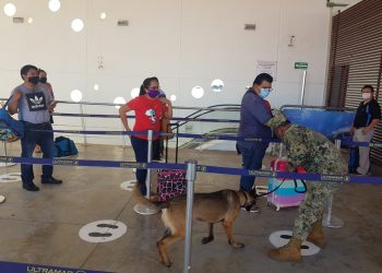 Amenaza de bomba provoca la movilización militar en Cozumel y Playa del Carmen