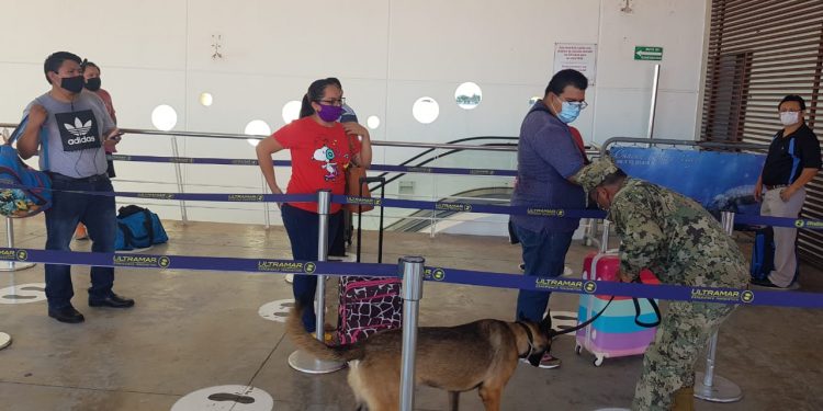 Amenaza de bomba provoca la movilización militar en Cozumel y Playa del Carmen