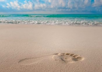 Promueven la campaña “Amo Cancún, por eso te cuido, por eso me cuido”