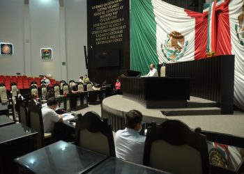 Diputados locales podrán reformar el Código Penal de QRoo, en materia de ecocidio