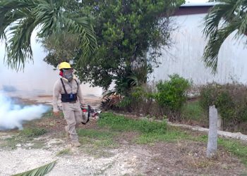 La SESA implementó la Jornada Intensiva contra las Arbovirosis en los municipios de Bacalar y Othón P. Blanco