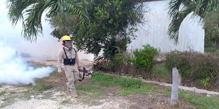 La SESA implementó la Jornada Intensiva contra las Arbovirosis en los municipios de Bacalar y Othón P. Blanco