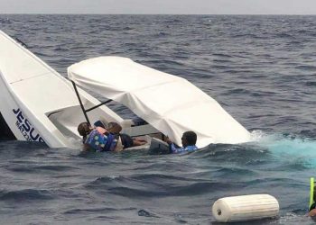 Investigan accidente en zona de avistamiento del Tiburón Ballena