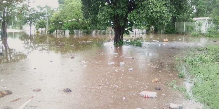 Utilizan la tecnología satelital de radar para identificar zonas inundadas