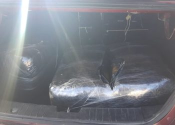 Intentó meter 40 kilos de marihuana a Cozumel, pero perro policía lo impidió