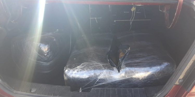 Intentó meter 40 kilos de marihuana a Cozumel, pero perro policía lo impidió