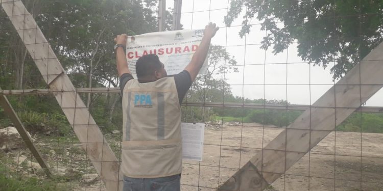 Clausura total temporal de un predio derivado de una denuncia ciudadana
