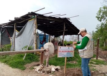 Ecocidio en Mahahual