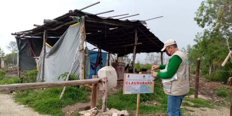 Ecocidio en Mahahual