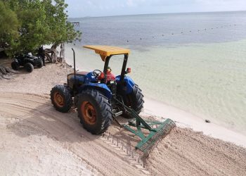 A marchas forzadas la recoja de sargazo en playas de Cancún
