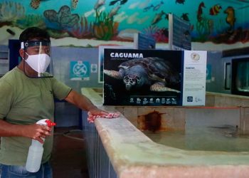 La Tortugranja en Isla Mujeres abre sus puertas al público con medidas de seguridad