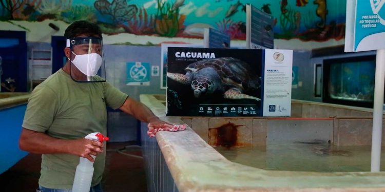 La Tortugranja en Isla Mujeres abre sus puertas al público con medidas de seguridad