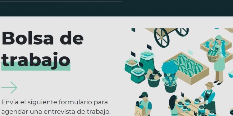 Sólo Fonatur contratará la mano de obra para trabajar en el Tren Maya