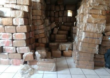 Golpe al narco, más de 700 millones de pesos en drogas decomisados en BC