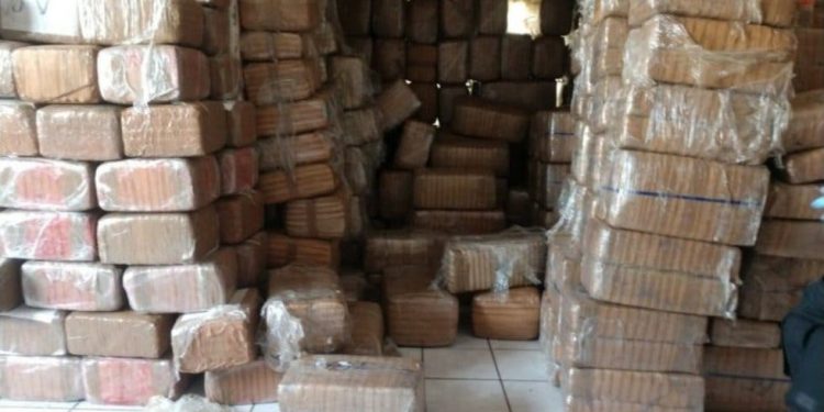 Golpe al narco, más de 700 millones de pesos en drogas decomisados en BC