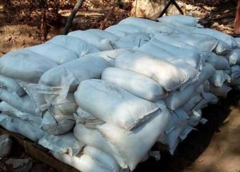 GN asegura narcolaboratorio y droga sintética en Sinaloa