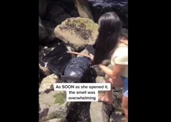 Jóvenes descubren cadáver en maleta mientras grababan TikTok