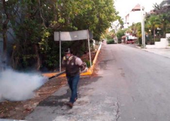 Se intensifica el combate contra el mosco transmisor del dengue en Isla Mujeres
